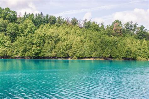 Lakeshore Scene With Pine Trees Lining The Shore And Turquoise Water