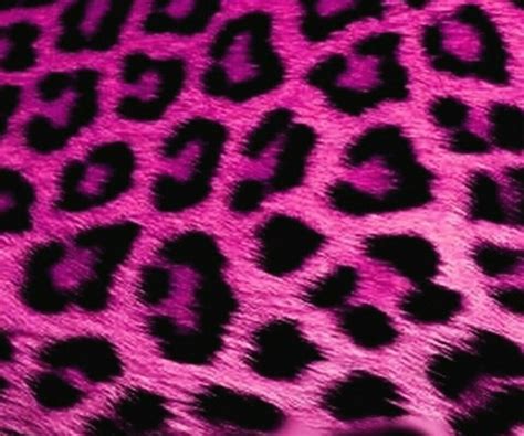 We did not find results for: Pin by Ashley Cecil on cheetah | Cheetah print wallpaper ...