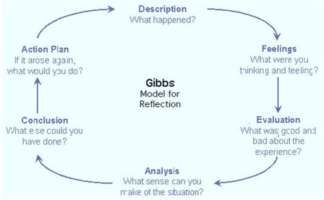 Gibbs Model For Reflection Pearltrees