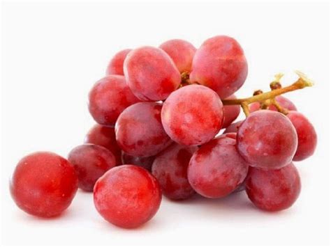 We did not find results for: Manfaat Buah Anggur Merah untuk Kesehatan Tubuh ...