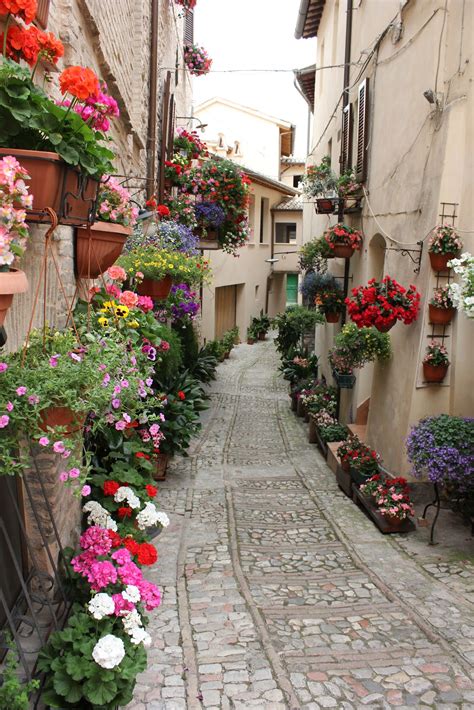 The Flowers Of Spello Umbria Italy The Golden Scope