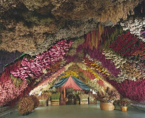 Step Inside An Ali Babas Cave Of Dried Flowers