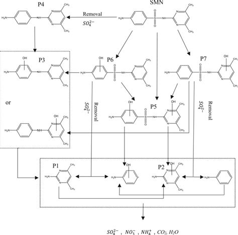 Major Intermediate And Proposed Pathways Of Photocatalytic Degradation
