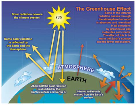 Atmospheric Carbon Dioxide History And Environmental Effects