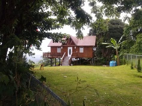 Little Cabin On Stilts In Puerto Rico Tiny House Pins