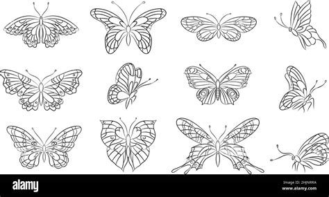 Butterflies Line Silhouettes Spring Butterfly Abstract Outline Tattoo