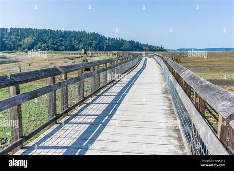 A View Of The Mud Flats And Boardwalk At The Nisqually Wetlands Near