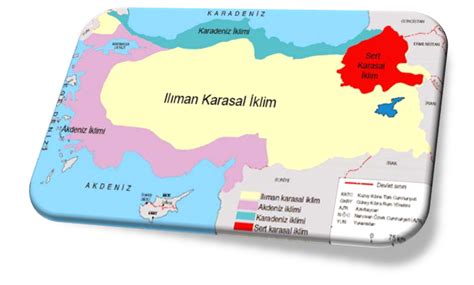 Yaz tundra bitki örtüsü, kutup bozkırı olarak tanımlanan kutuplara yakın olan bölgelerde geniş alanlarla kaplı olan bitkilere verilen isimdir. Büyük İklim Tipleri (Makroklima) - Sıcak İklim Tipleri ...