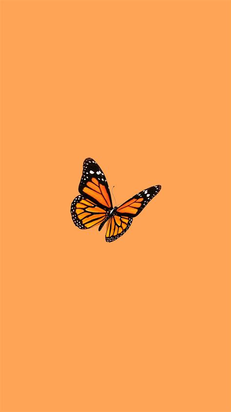 Aesthetic Orange Butterfly Wallpapers Top Free Aesthetic Orange