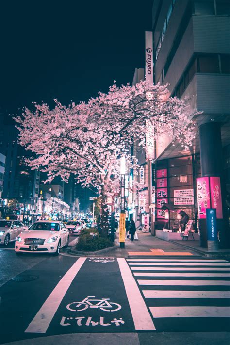 Inefekt69chuo Tokyo Japan Tumblr Pics