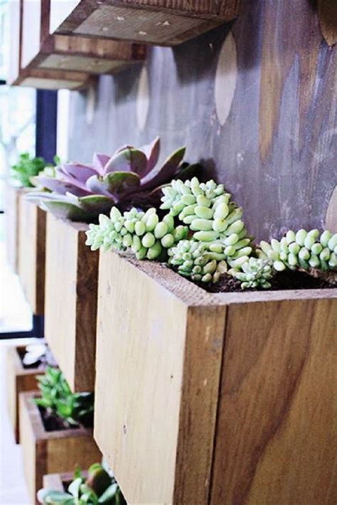 20 Creative Diy Succulents Planters You Should Not Miss Tree Branch