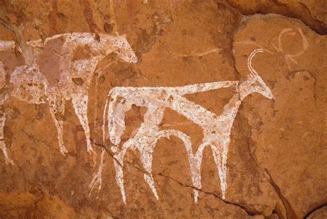 Cave Paintings Rock Art Prehistoric Art