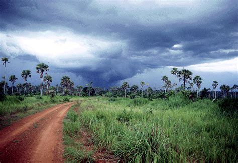 This latter fact is in direct contrast to a tropical monsoon climate, whose driest month sees less than 60 m. Climate