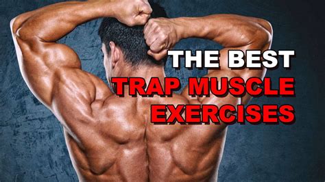 The 5 Best Trap Muscle Exercises For Rapid Growth