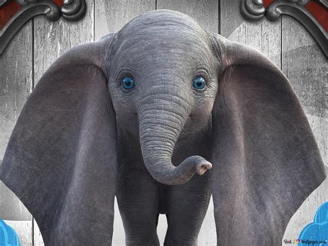 Share 84 Dumbo Wallpaper Best Vn