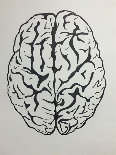 Brain Pencil Drawing At Explore Collection Of