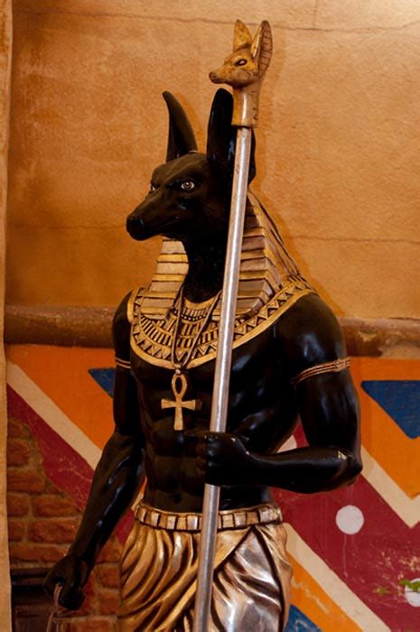 In this way he was responsible for the evisceration of the dead and received the title of. Anubis - The Jackal God and Guide into the Ancient ...