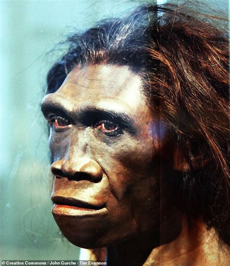 Homo Sapiens Anatomically Modern Humans AMH GoTeamUSA