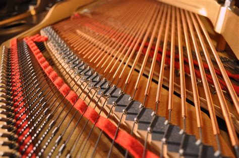 Jan 17, 2021 · piano gallery has been utah's premier piano store for 30 years. Yamaha grand piano (inside) | sooc I was taking film shots ...