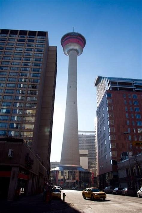 True garden is a vertical aeroponic farm offering seedlings, supplies, fresh produce, and tower gardens systems for residential & commercial use. Calgary's Signature tower | Canada travel, Calgary, Tour ...
