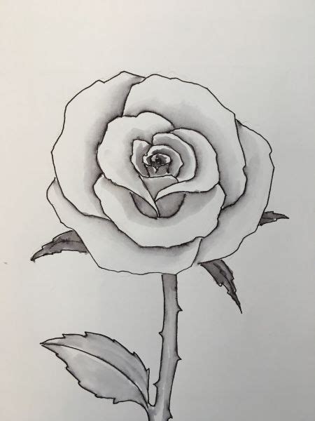 Find fun new ways to enjoy the process of creating art with toddlers and preschoolers.you can follow along with us and. How to draw a rose. | easy to draw videos | Drawings, Easy ...