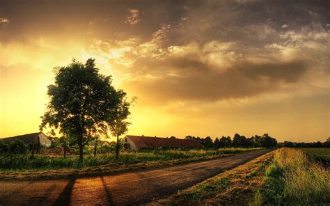 Trees Sunset Wallpapers Hd Desktop And Mobile Backgrounds