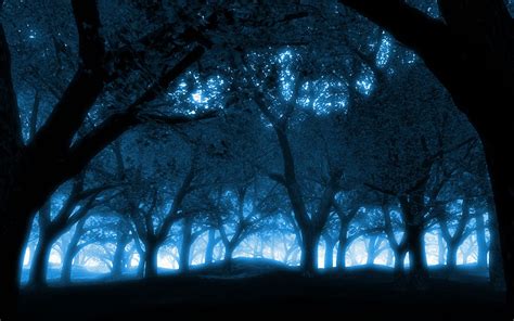 Mystical Forest Blue Light Effect 1680x1050 Wallpaper Mystical Forest