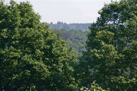 Trova immagini stock hd a tema paesaggio estivo soleggiato. Paesaggio Soleggiato Hd - Natura Della Sorgente Paesaggio ...