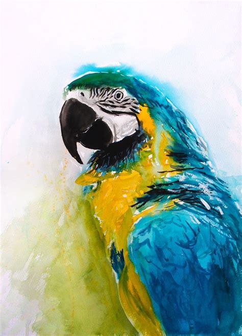 Parrot Blue Yellow Watercolour Macaw Original Animal Painting A3 Signed