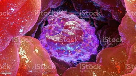 3d Illustration Of Monocyte Type Leukocyte Cell White Blood Cells 3d