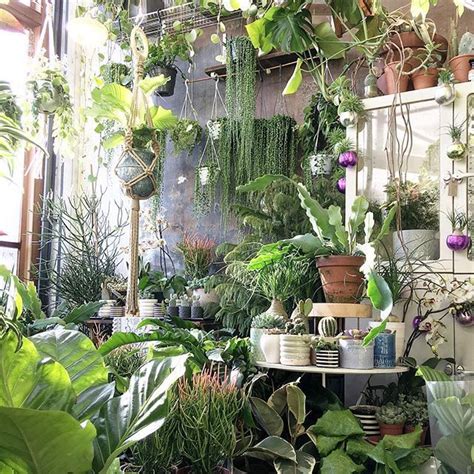Packed With Overordered Plants This Weekend Again We Are Open Till