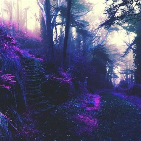 Purple Forest On Tumblr