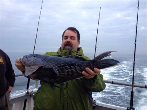 New Jersey Record Black Sea Bass Caught On Party Boat On The Water