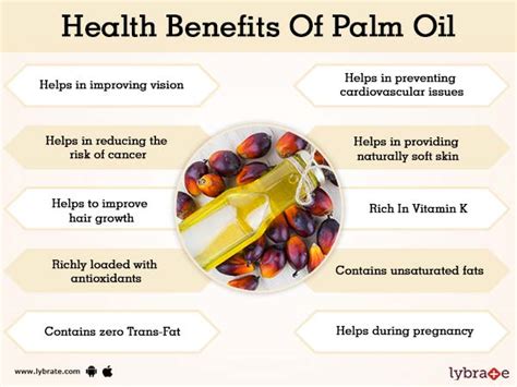 In the united states, palm oil accounts for a very small percentage of. Palm oil Benefits And Its Side Effects | Lybrate