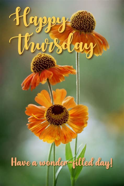 50 Happy Saturday Quotes And Blessings Images Artofit