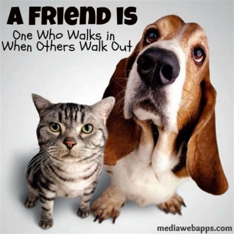 Cat ends up flirting with him and they both share a nice spanish conversation before they spend the whole day together. Cat And Dog Quotes. QuotesGram