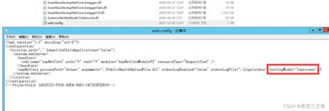 Solved Asp Net Core IIS Error Error 500 30 ASP NET Core App