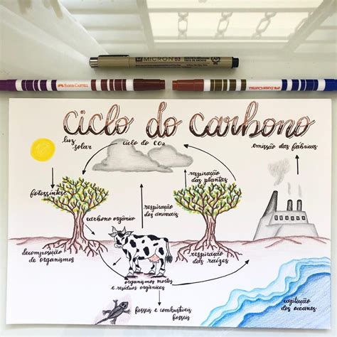 Resuminho Sobre Ciclo Do Carbono 🖤 Amo Resumo Com Desenhos E Vcs