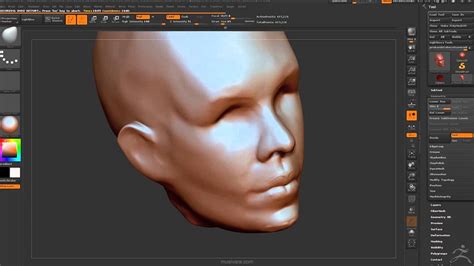 Zbrush Human Head Speed Sculpting Time Lapse Youtube