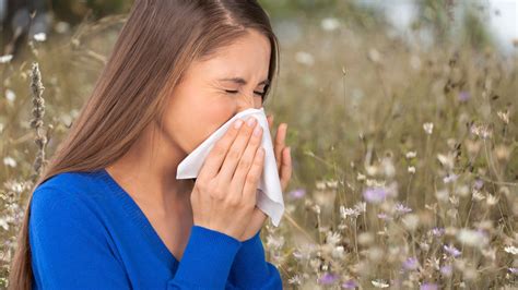Seasonal Allergies Allergic Rhinitis Fact Sheets Yale Medicine
