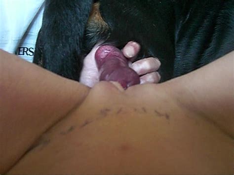 Black Dog Bangs My Tight Shaved Pussy In Ass To Ass Pose