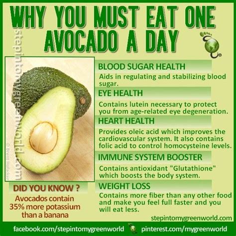 Avocado Is Weight Loss Ingredient Because The Body Flush Bad Fat When