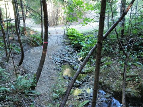 Lacks Creek Stream Crossing Culvert Upgrade Looking Downstream2 Of 2