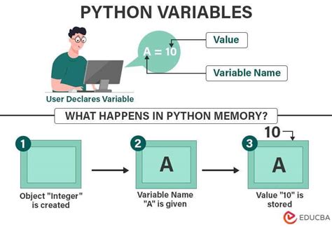 Python Variables And Types Explained With Codes And Output