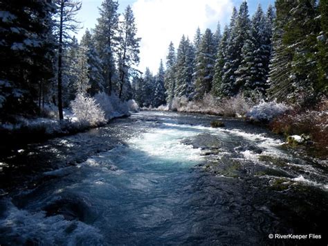 Metolius River Stewardship Project