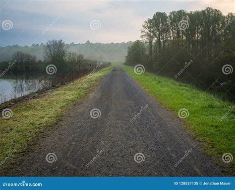 Gravel Road Along Reservoir In Foggy Forest Stock Image Image Of