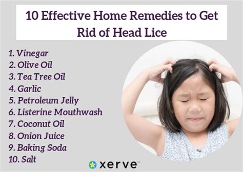 10 Effective Home Remedies To Get Rid Of Head Lice Hair Lice Lice