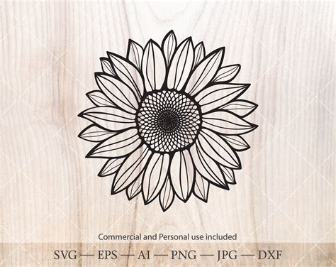 Sunflower Outline Svg - Layered SVG Cut File