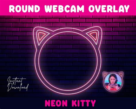 Round Neon Kitty Webcam Overlays For Streaming Game Streaming Scenery
