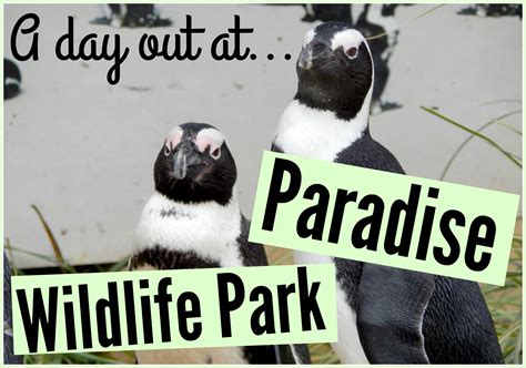 A Day Out At Paradise Wildlife Park · Jenny In Neverland